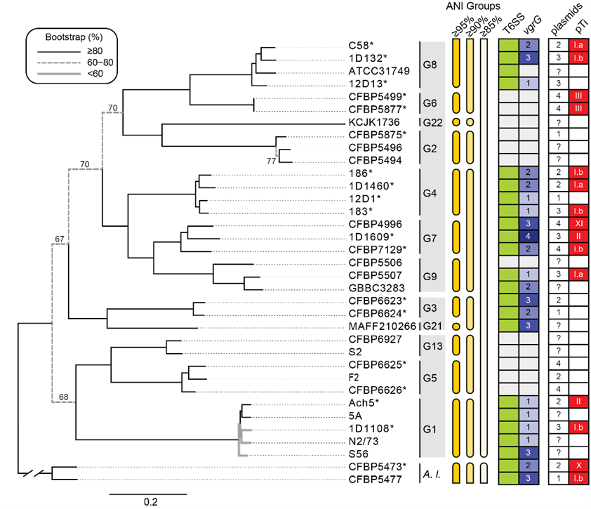 Modular evolution of secretion systems and virulence plasmids in a bacterial species complex