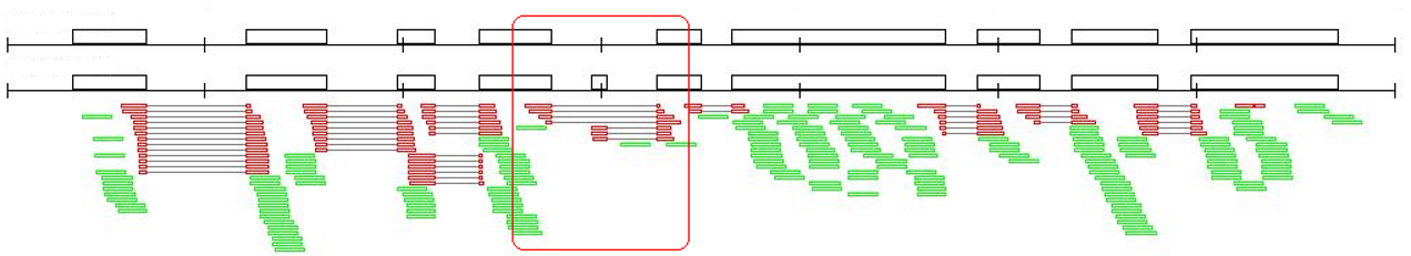An alternative-splicing event detected by RackJ