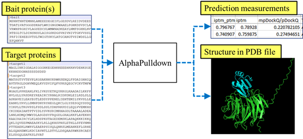 Applied public software for interaction prediction